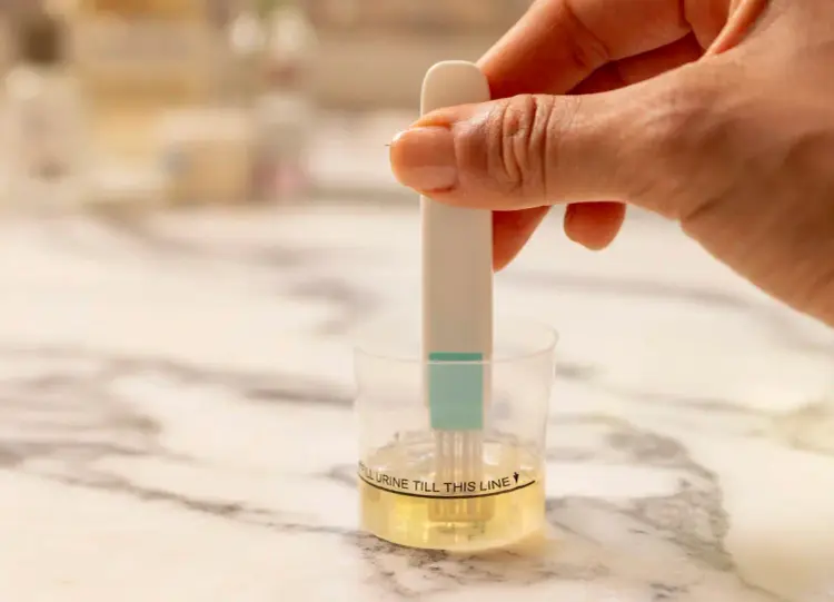  Dip the Fertility Strip in urine for 15 seconds.
